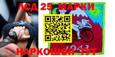 гидра Краснокаменск