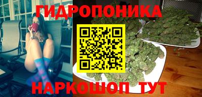 гидра Краснокаменск