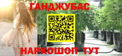 гидра Краснокаменск