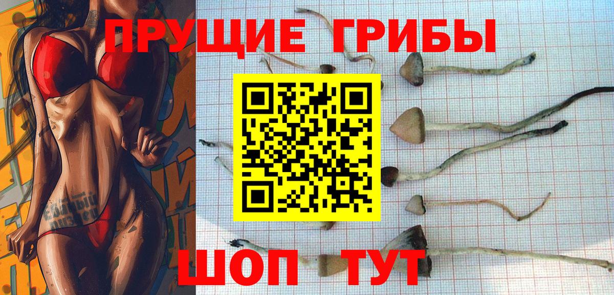 где продают   Псилоцибиновые грибы Magic Shrooms  Псилоцибиновые грибы ЛСД  Вход с VPN  Кохма 